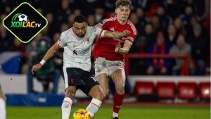 Nhận định bóng đá Liverpool vs Nottingham, 22h00 ngày 22/11